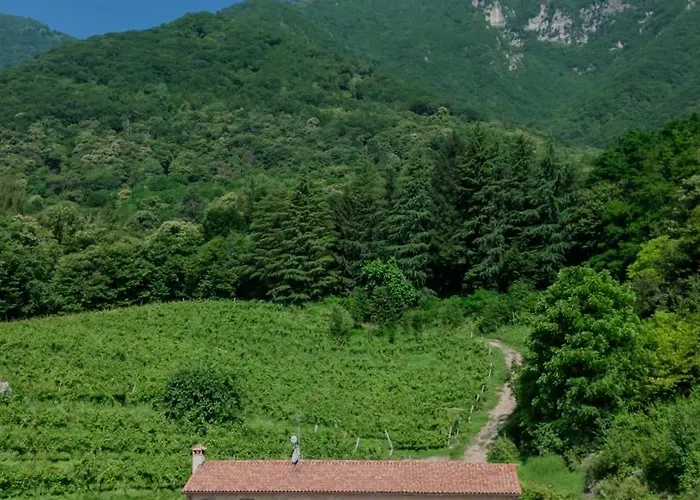 Podere Del Bosc Séjour à la ferme